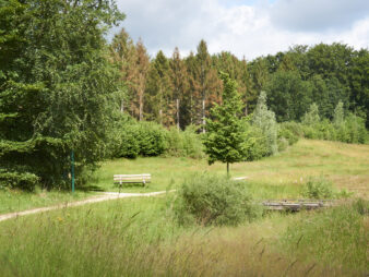 TRAILRUNNING: Havelterberg 28-12