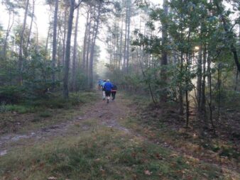 TRAILRUNNING: Hattem 18-1