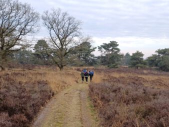 TRAILRUNNING: Heideveld-Eese-Woldberg 8-3